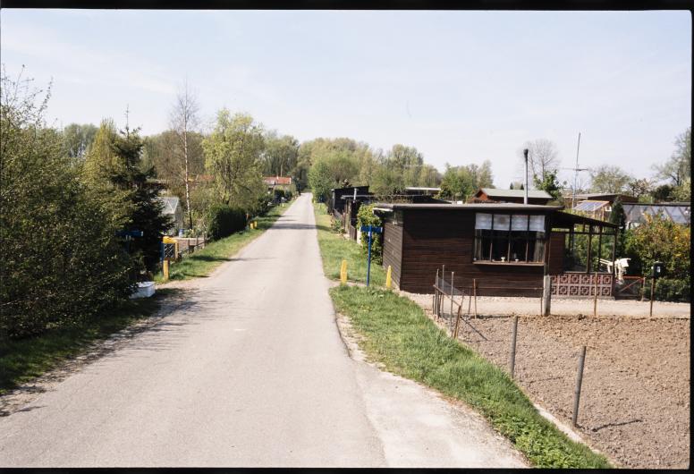 foto van een pad op ene volkstuincomplex met rechts gebouwen en links een hoge groene heg