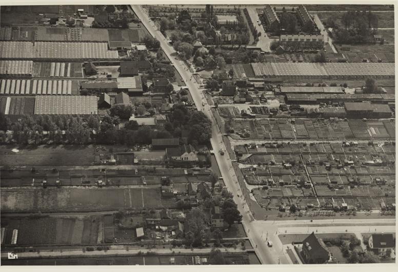 Luchtfoto van de 's-Gravenweg en omgeving in 1950. Rechtsonder de Laan van Woudestein met volkstuinen. Foto: KLM Aerocarto, collectie 4232, nummer IX-1029-02-1