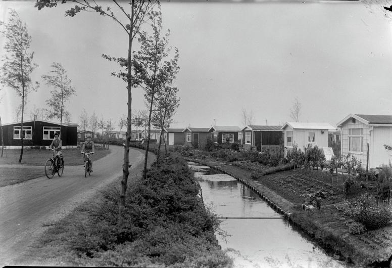  Volkstuinencomplex De Zuiderhof aan de Zuiderparkweg, juli 1955. Foto: Cock Tholens, collectie 4147, nummer tho-630