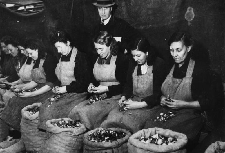 Het schoonmaken van bloembollen in een centrale keuken, 1944 - 1945.