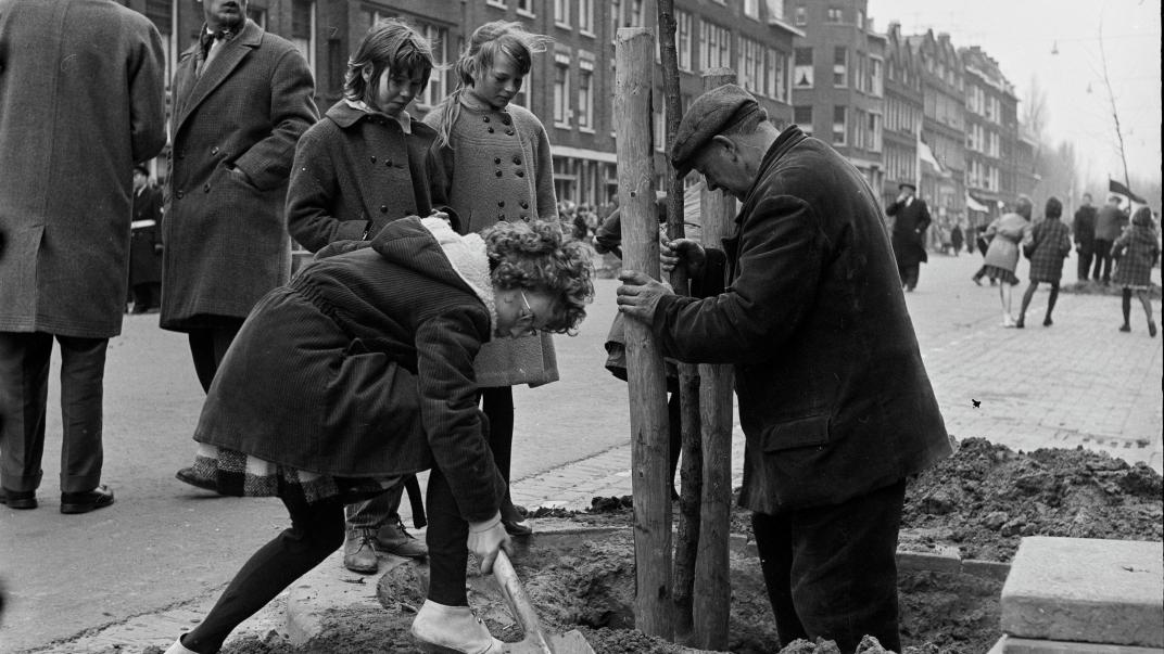 Zwart-witfoto van scholieren die een boom planten in de Paradijslaan.