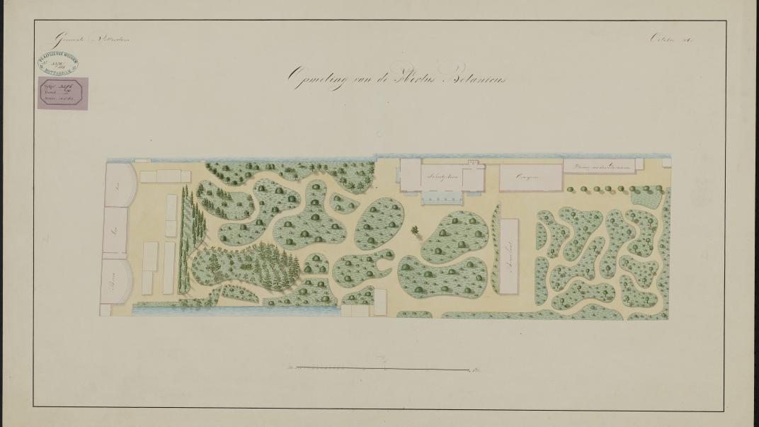 Opmeting van de Hortus Botanicus, 1861, Collectie Plaatselijke Werken (Gemeentewerken Rotterdam).
